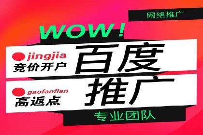 成功案例：网络推广竞价在汽车行业的运用